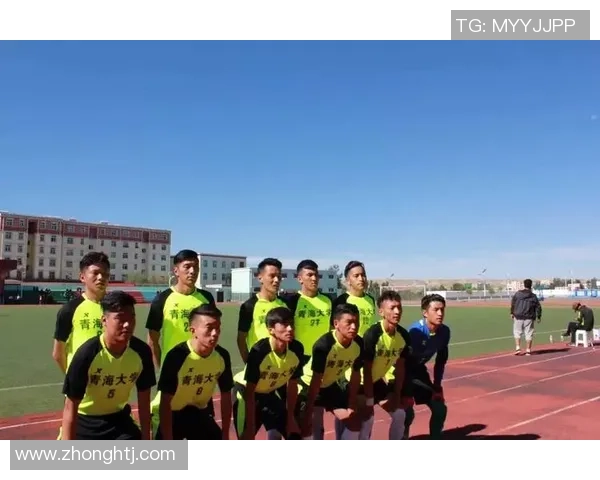 青海球星足球队最新名单解析及球员阵容实力分析